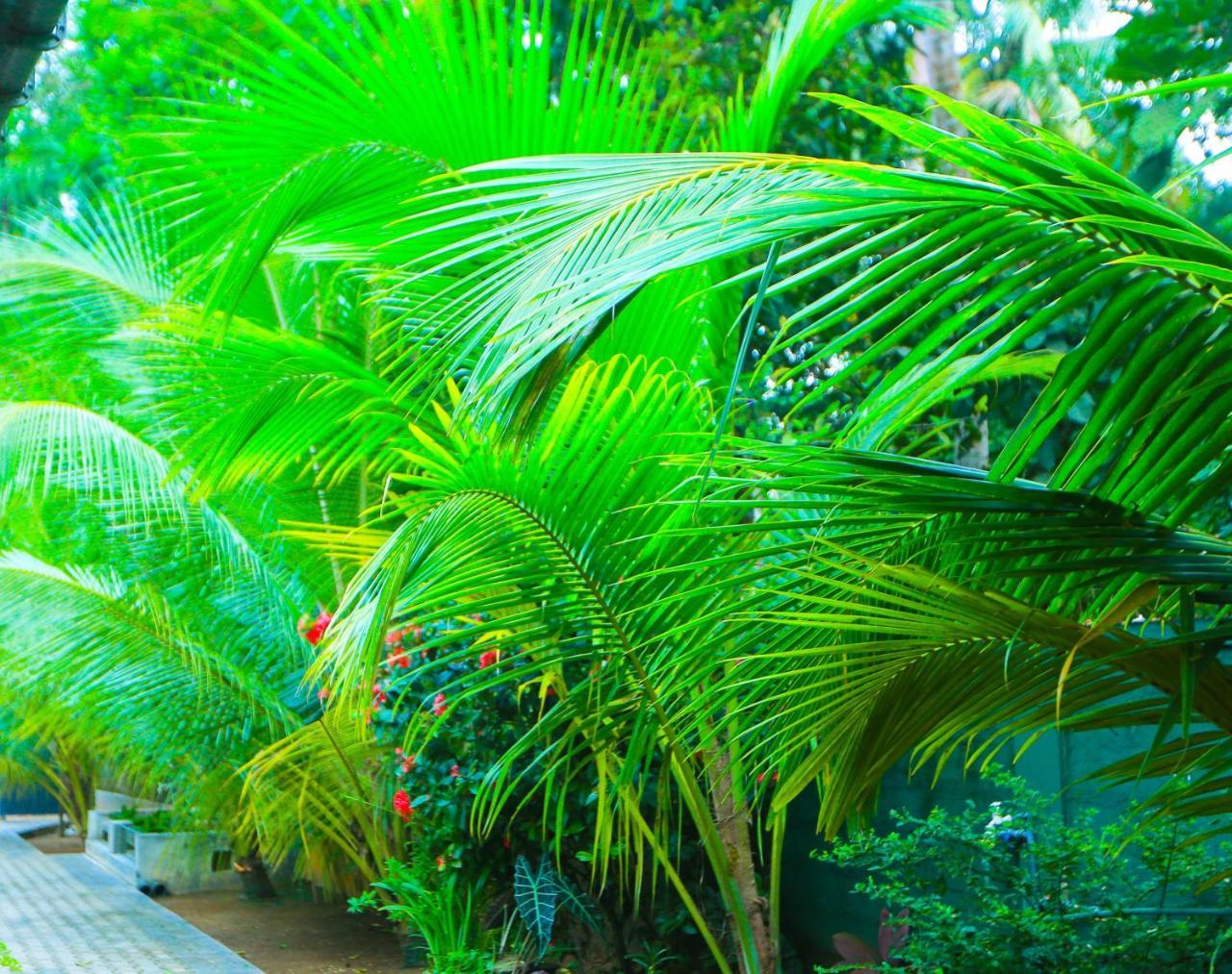 Sri Lankan Villa Elagawagoda Exterior photo